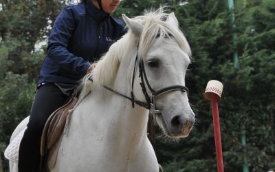 Jibcy du chatel